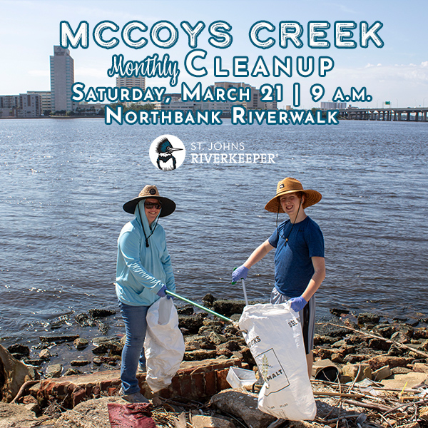 McCoys Creek