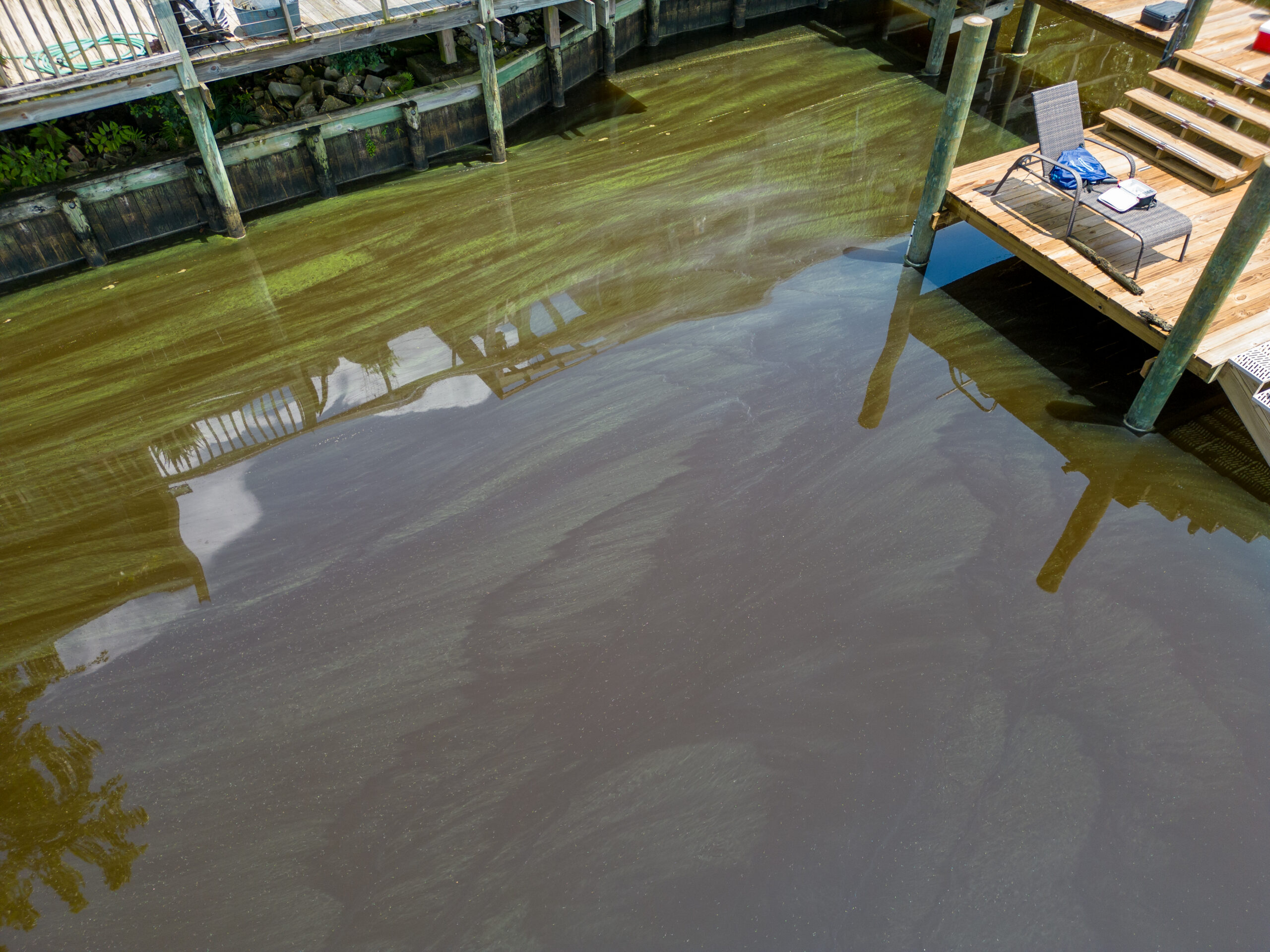 Algae bloom near residential dock. Credit: Floatin' Media