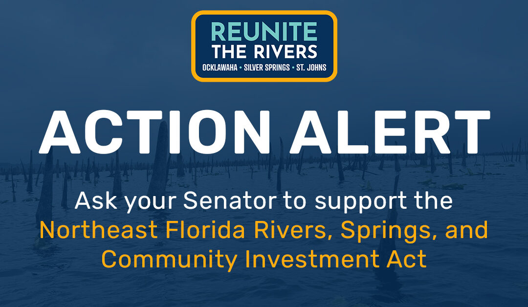Urgent Call to Action: Support Ocklawaha River Restoration
