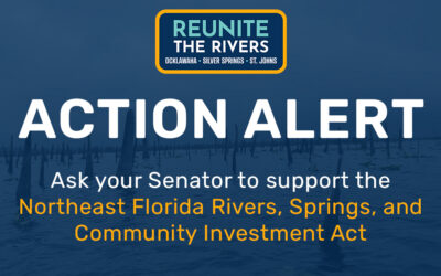 Urgent Call to Action: Support Ocklawaha River Restoration
