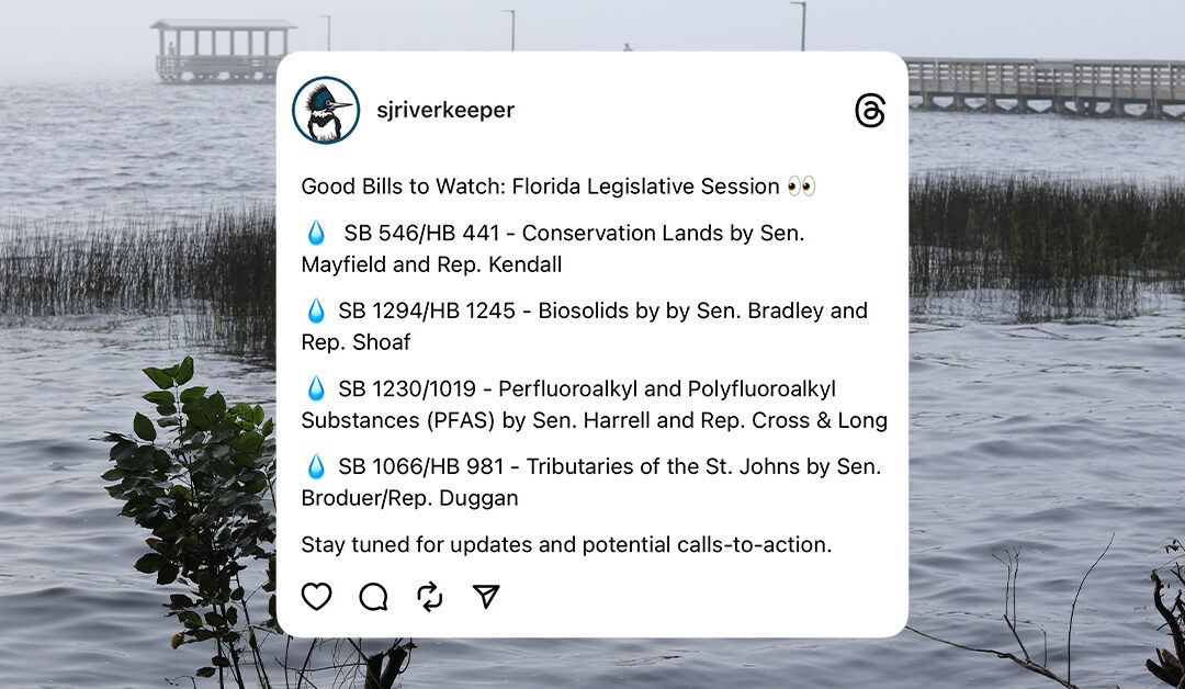 Good Bills to Watch: Florida Legislative Session