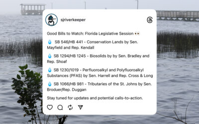 Good Bills to Watch: Florida Legislative Session