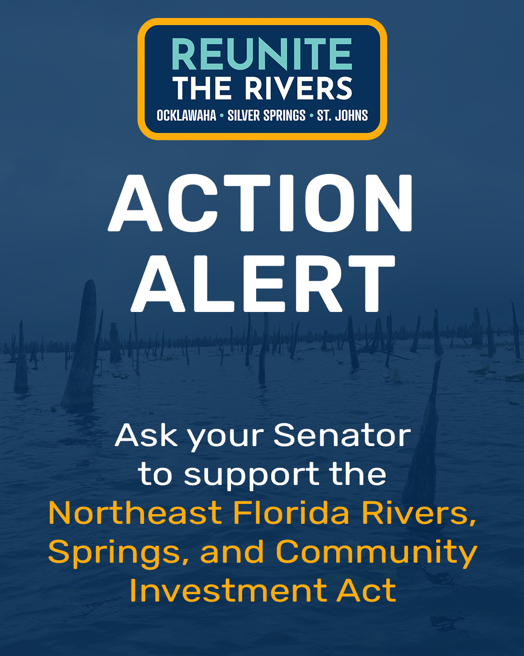 Action Alert - Ocklawaha