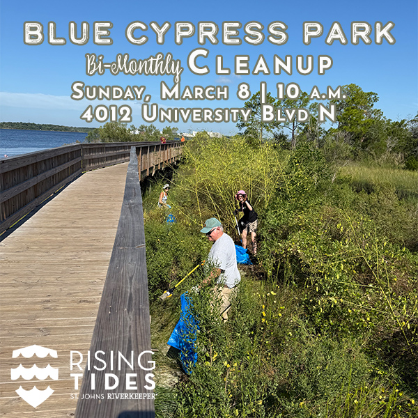 Blue Cypress Park Cleanup