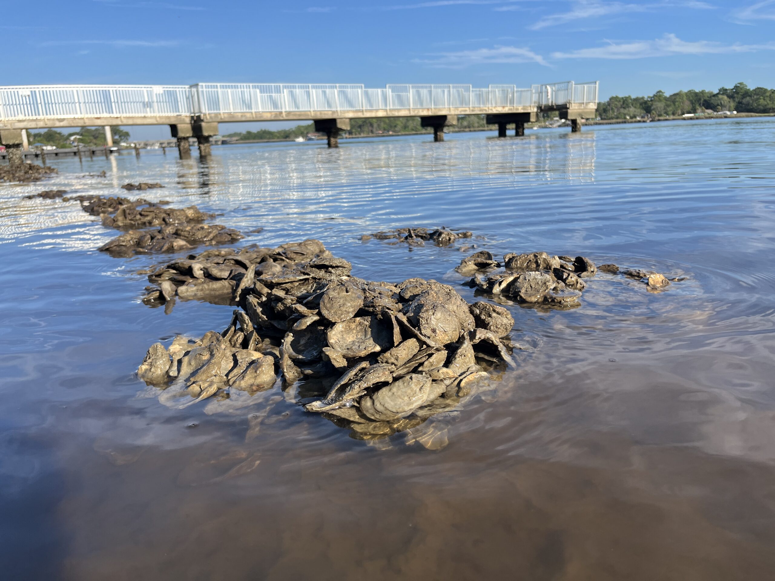 POSH Modules at Riverview Park