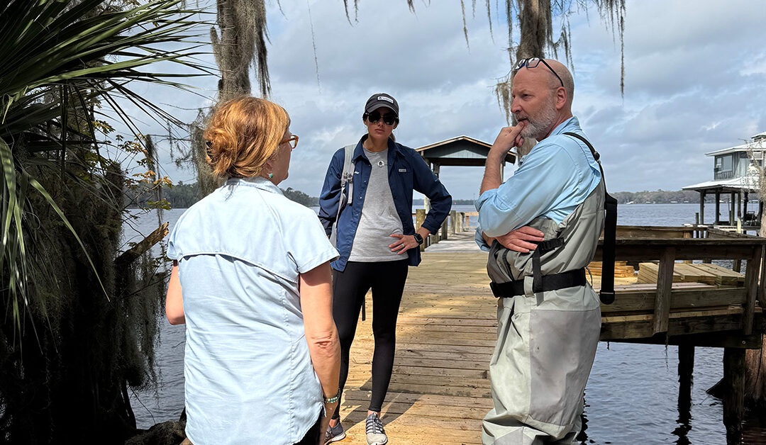 Advancing SAV Restoration Through Collaboration