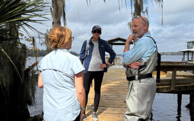 Advancing SAV Restoration Through Collaboration