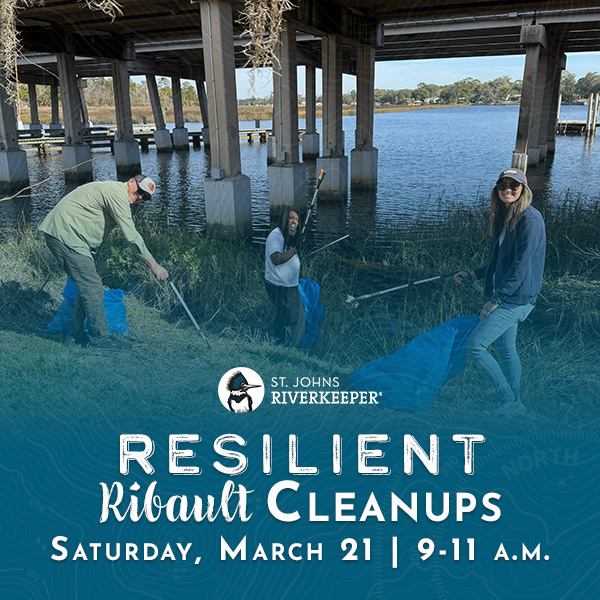 Resilient Ribault Cleanups