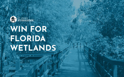 Court Victory for Florida Wetlands Protection