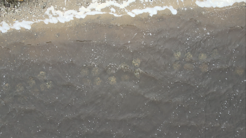 POSH Modules at Riverview Park