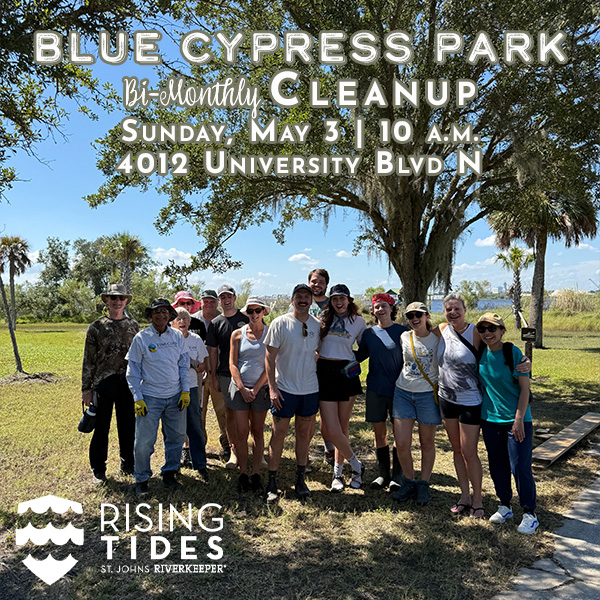 Blue Cypress Park Cleanup