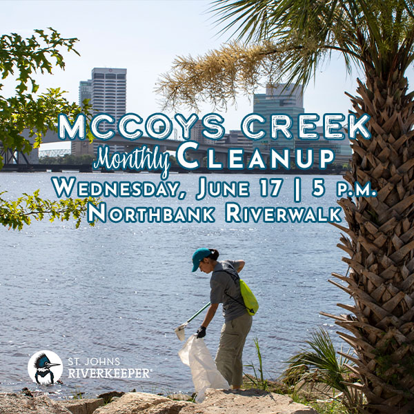 June McCoys Creek Cleanup