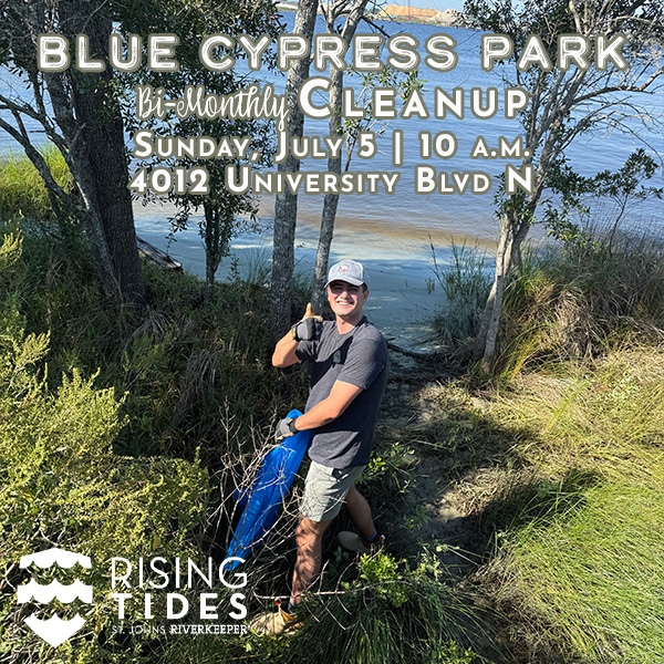 Blue Cypress Park Cleanup