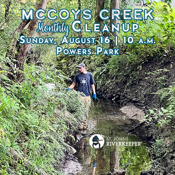 August McCoys Creek Cleanup