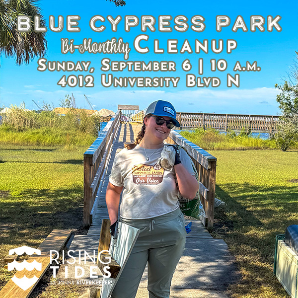 Blue Cypress Park Cleanup