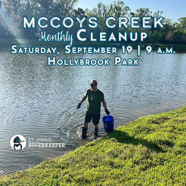 September McCoys Creek