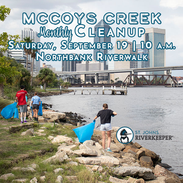 McCoys Creek