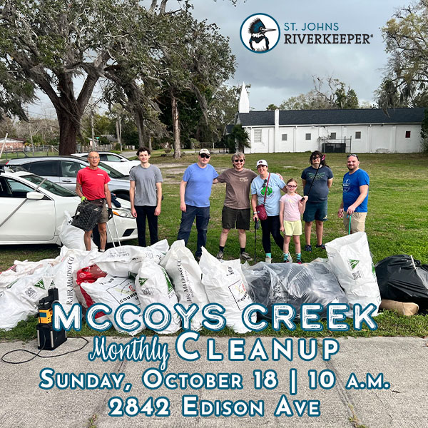 October McCoys Creek