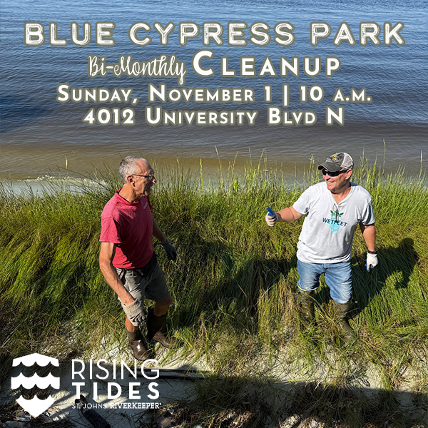 Blue Cypress Park Cleanup