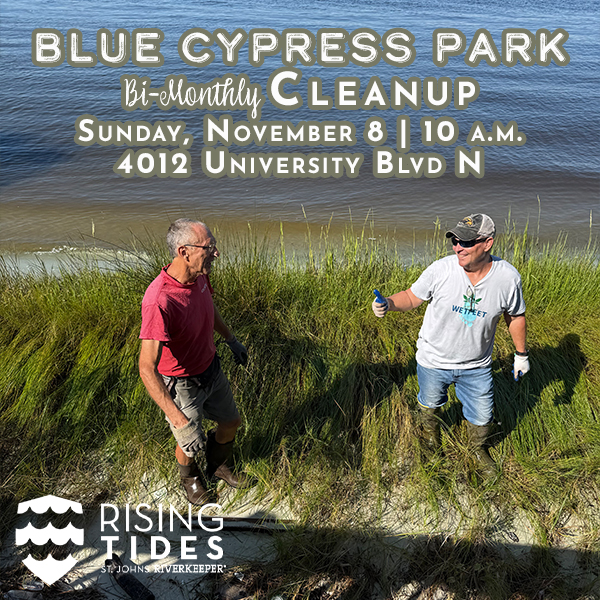 Blue Cypress Cleanup
