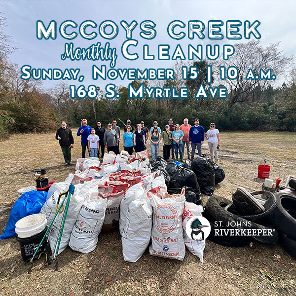 McCoys Creek Cleanup group