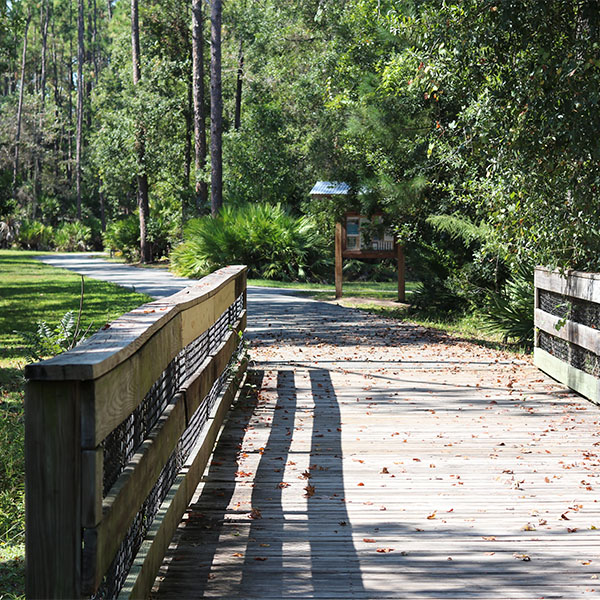 Moccasin Slough trail