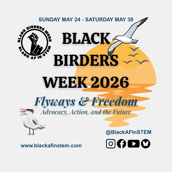 Black Birders Week