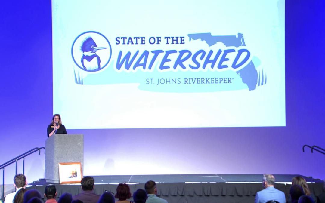 Lisa Rinaman during State of the Watershed presentation
