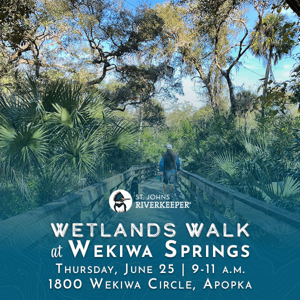 Wetlands Walk