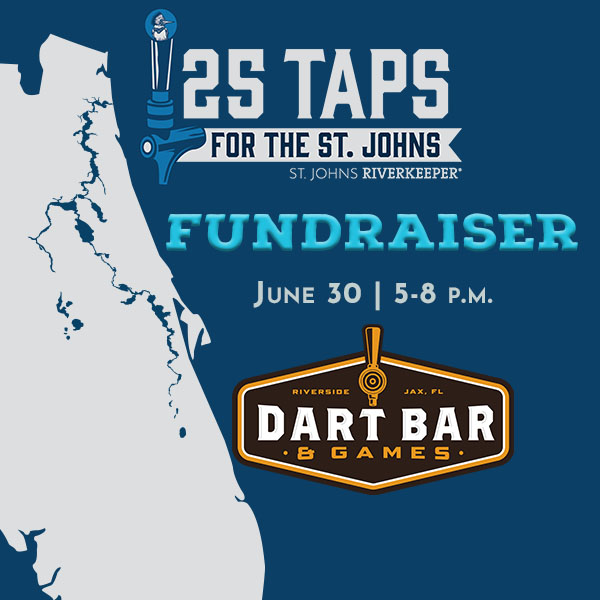 Dart Bar