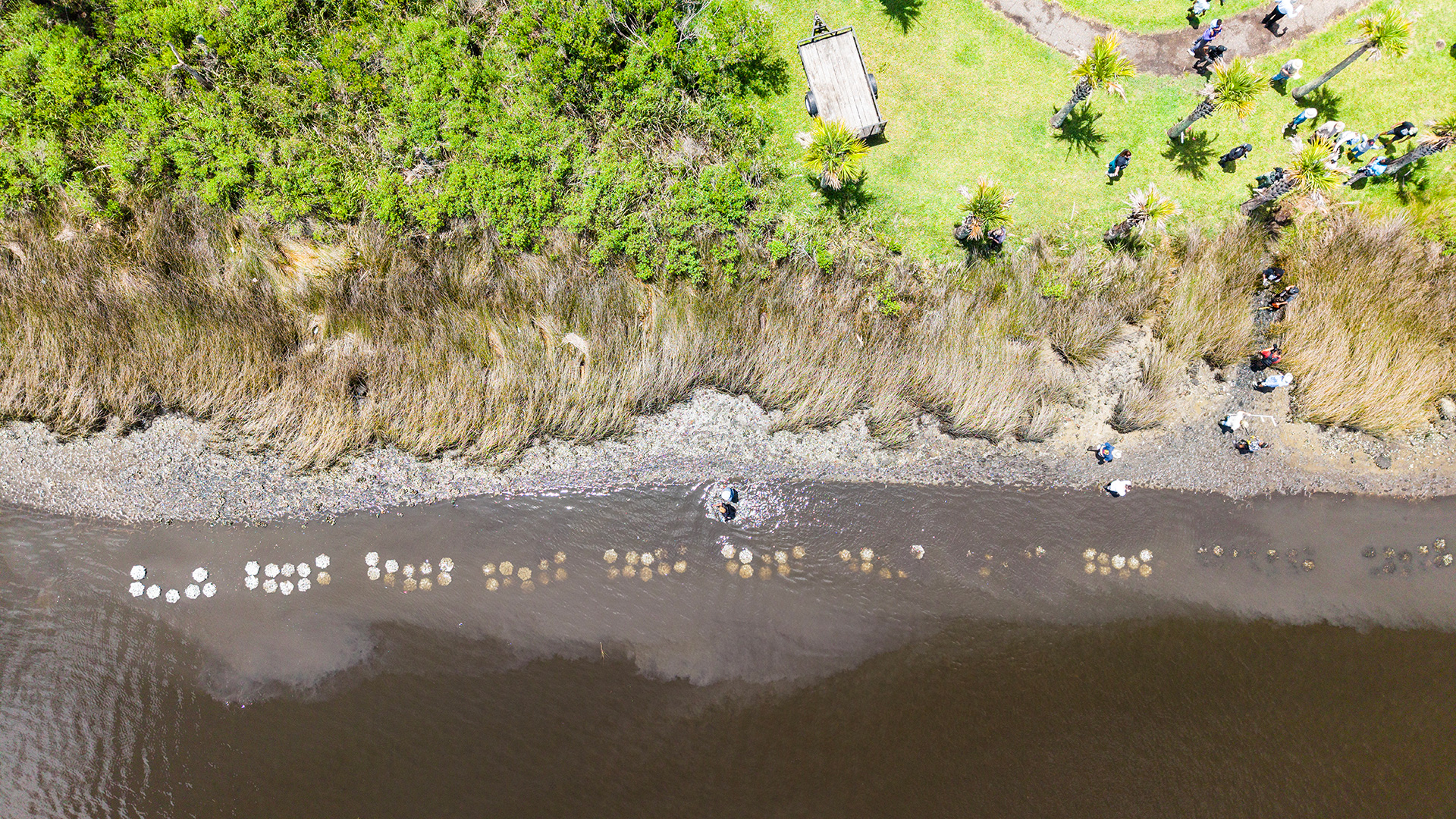 Oyster Reef During Construction