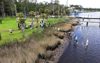 Creating the Largest Oyster Reef in the St. Johns