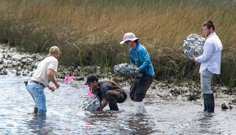 Oyster Reef Installation - Leslie Kirkwood