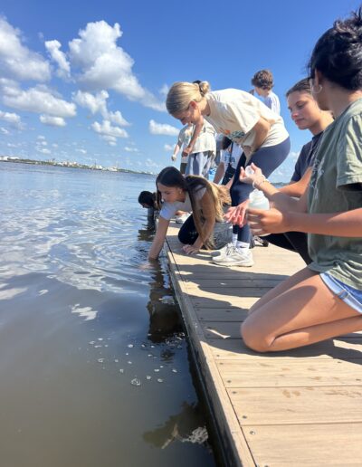Water Quality Testing