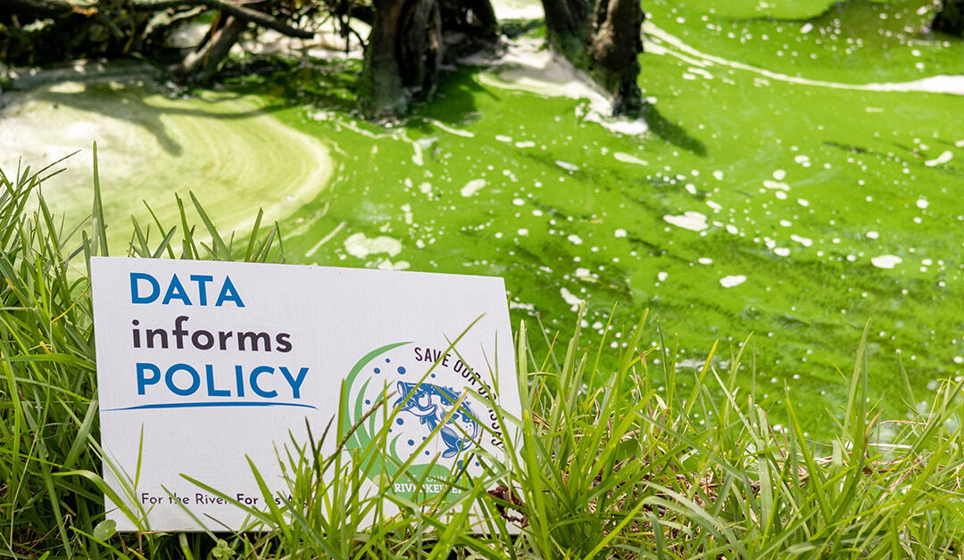 New Report Finds Majority of Florida Waterways Fail Water Quality Standards