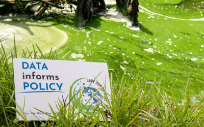 New Report Finds Majority of Florida Waterways Fail Water Quality Standards