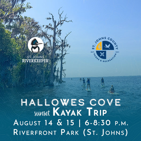 Hallowes Cove Kayak Trips
