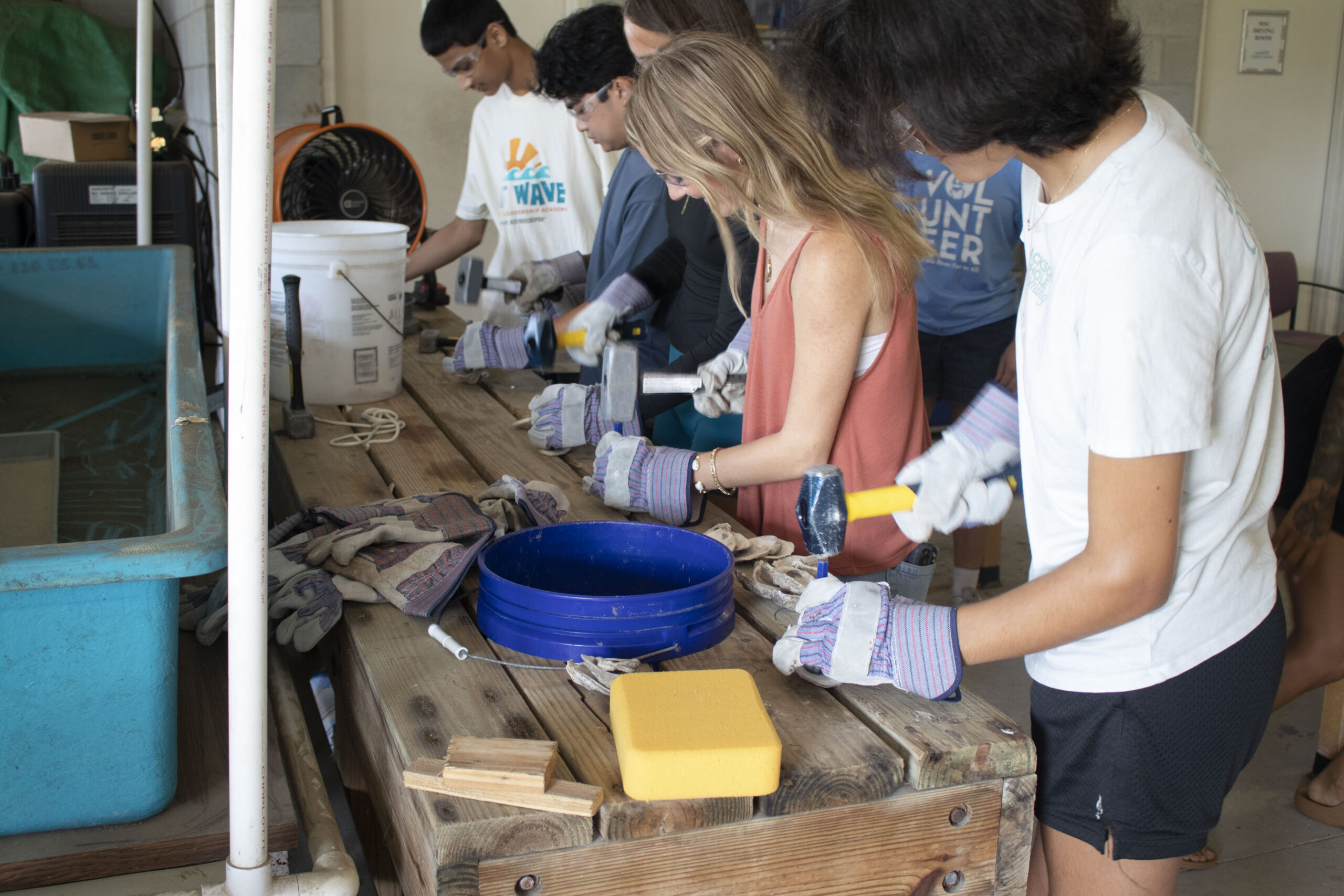 VOG Workshop