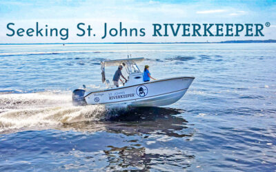 Seeking the Next St. Johns Riverkeeper