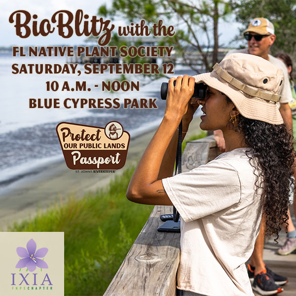 BioBlitz
