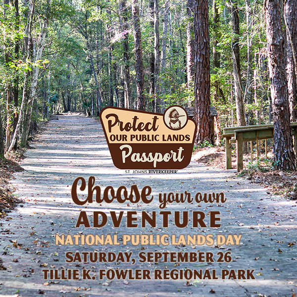 Choose your Adventure
