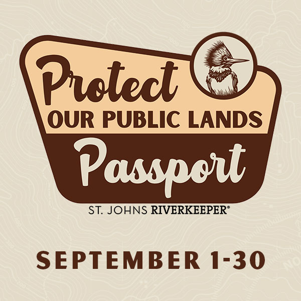 Protect Our Public Lands