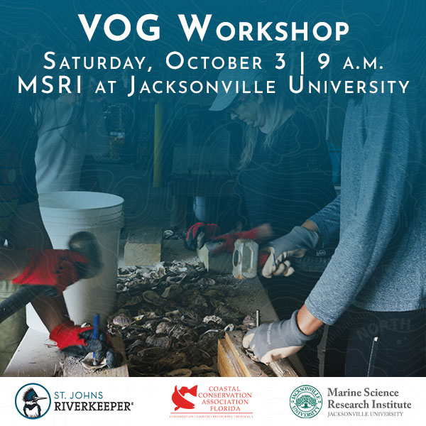 VOG Workshop