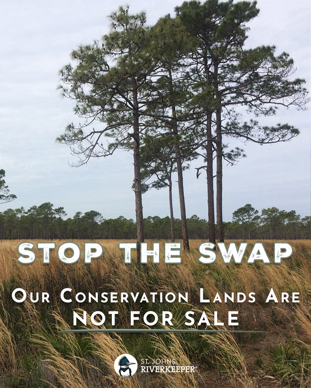 Stop the Swap