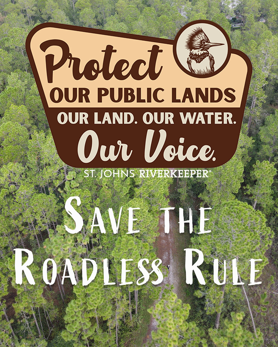 Save the Roadless Rule