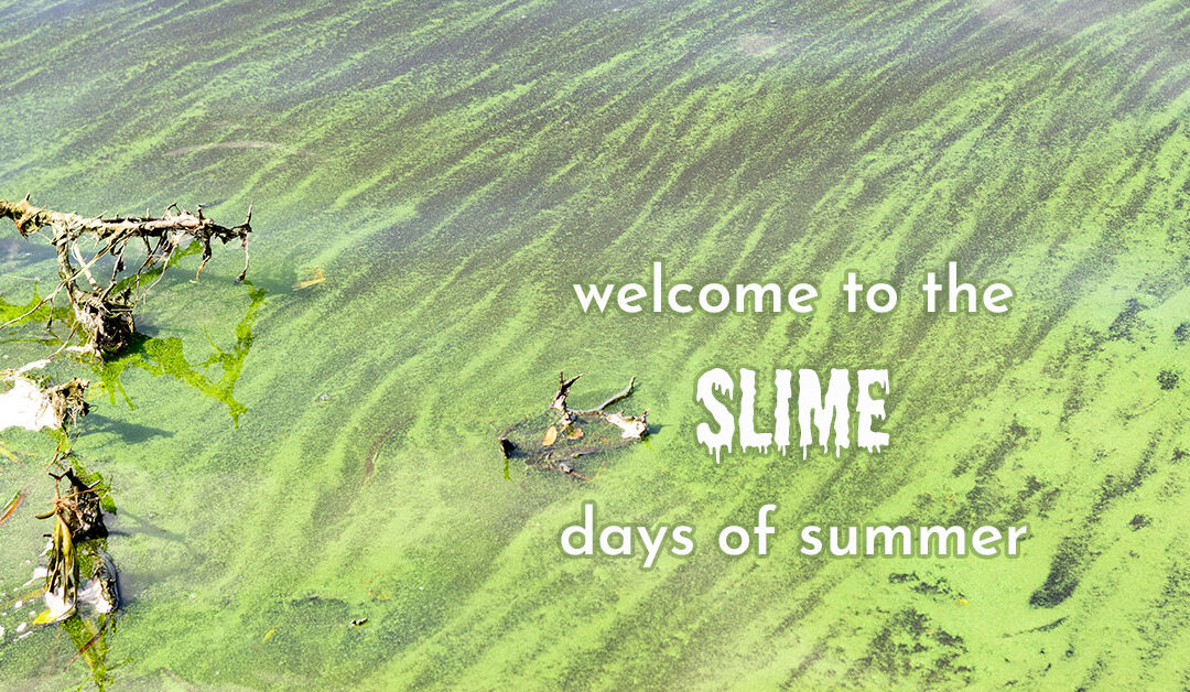 Slime Days