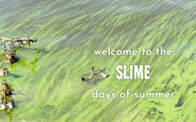 Welcome to the Slime Days of Summer
