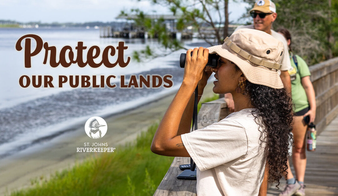 Protect Our Public Lands