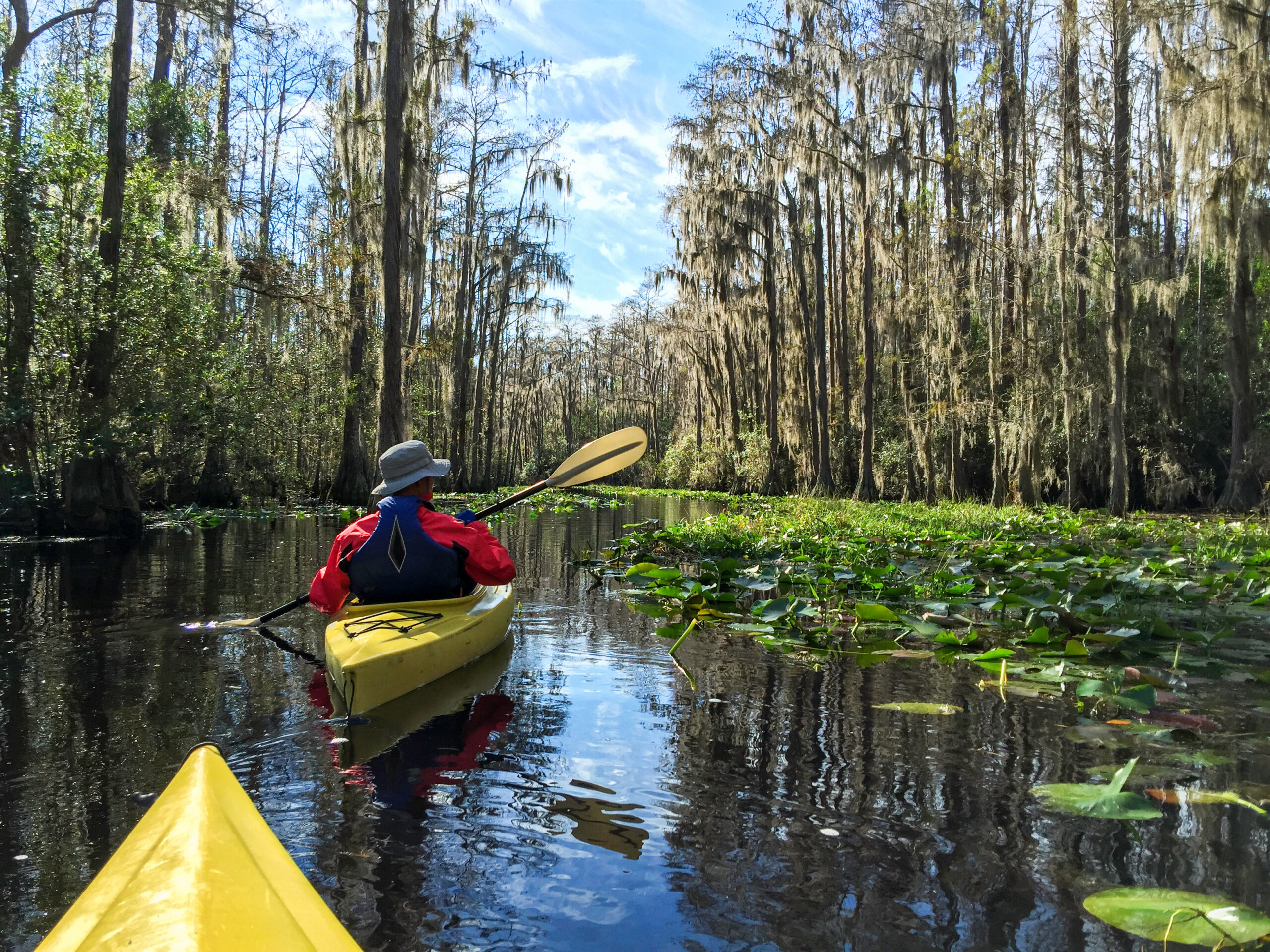 kayaking in Georgia's Okefenokee National Wildlife Refuge
