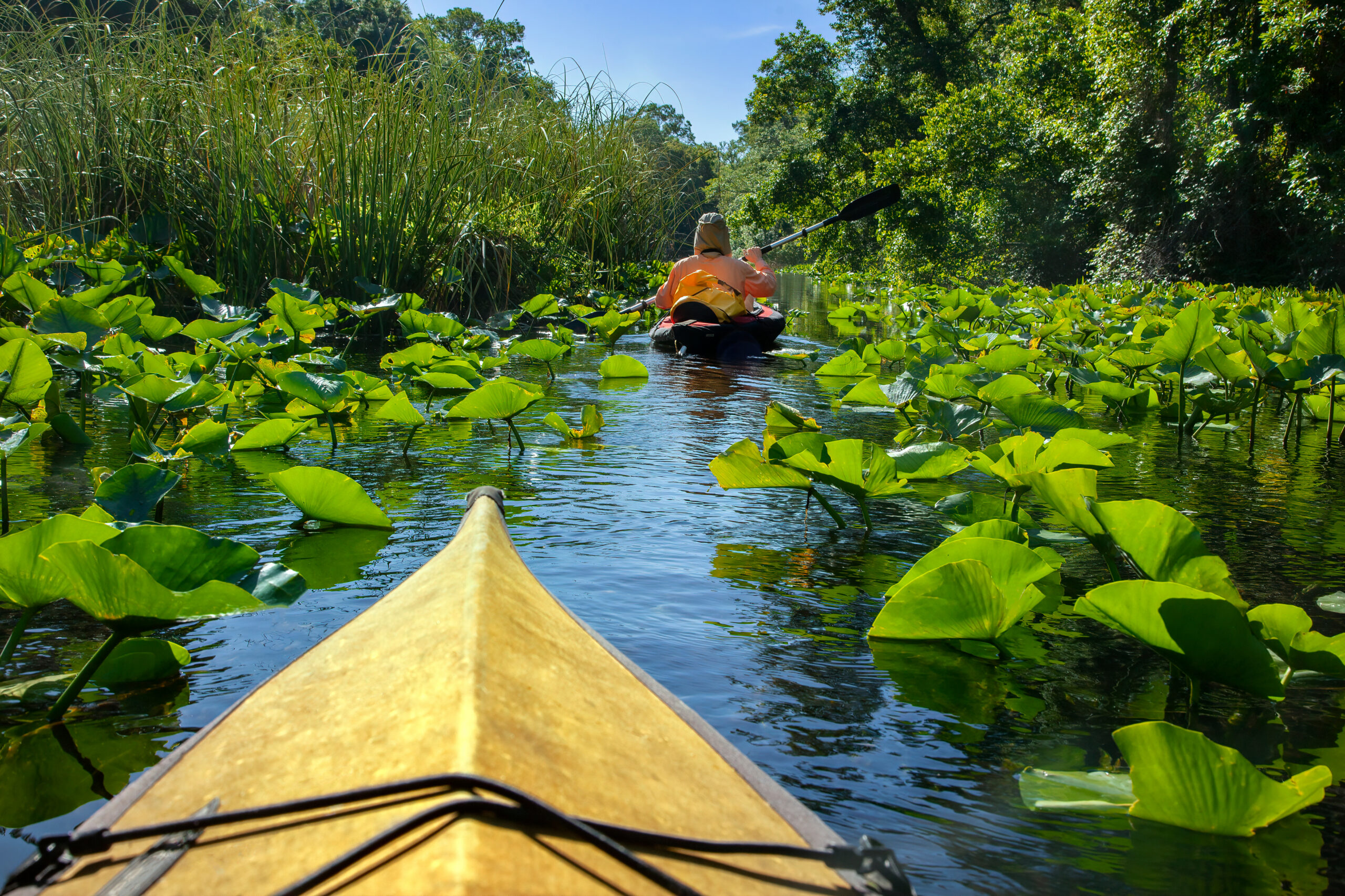Kayaking on Rock Springs Run